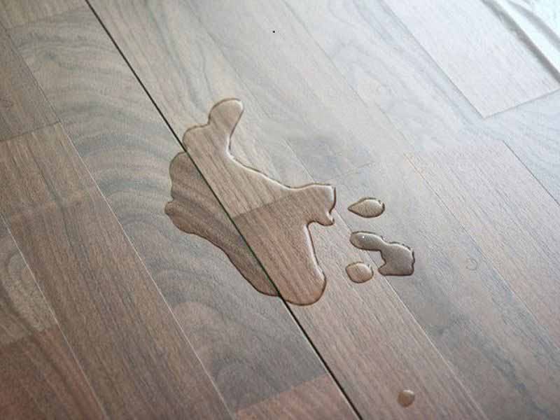 Sàn gỗ nhựa Composite khộng bị ảnh hưởng bởi nước