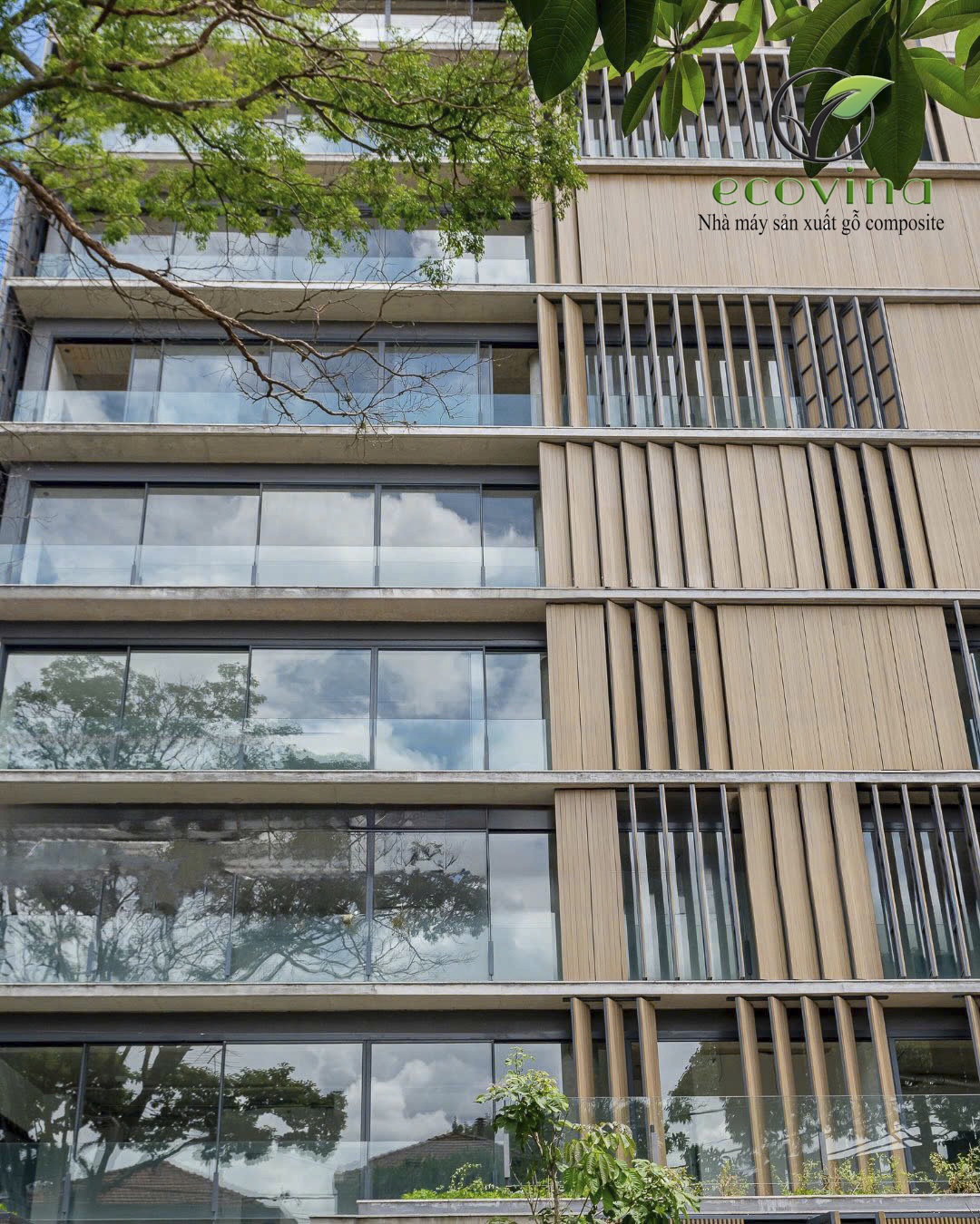 Lam đứng gỗ nhựa phủ asa